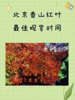 北京香山红叶什么时候看最合适，北京香山红叶最佳观赏时间是几月份？