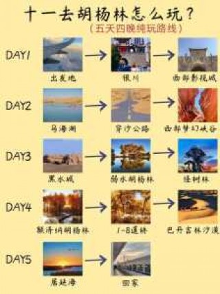 额济纳旗胡杨林旅游攻略？额济纳旗胡杨林旅游攻略最佳时间？