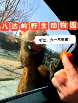 八达岭野生动物园游玩攻略，八达岭野生动物园门票多少？