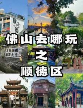 广东顺德旅游攻略景点必去，广东顺德旅游攻略景点必去的地方