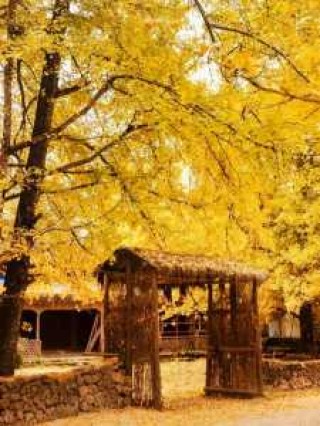 腾冲旅游攻略详细？腾冲 旅游攻略？