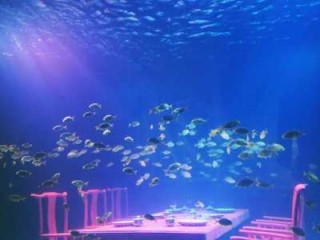 长风公园海洋世界门票费用，长风公园海洋馆门票费用