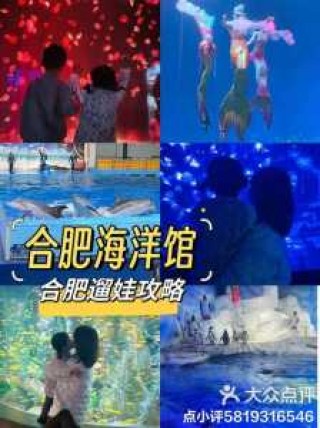 合肥海洋馆门票多少钱一张，合肥海洋馆2020门票？