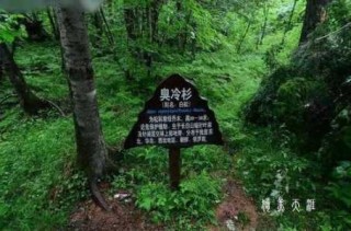 长白山不能公开的秘密，长白山为什么神秘？
