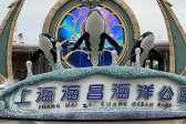 上海三个海洋馆去哪个，上海三个海洋馆去哪个门进？
