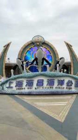 上海三个海洋馆去哪个，上海三个海洋馆去哪个门进？