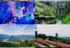 恩施旅游景点分布图，恩施旅游景点大全景点排名榜？