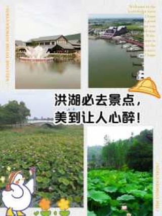 洪湖旅游景点大全？洪湖旅游景点大全视频？