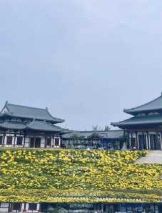 上海附近旅游景点排名，上海附近旅游攻略？