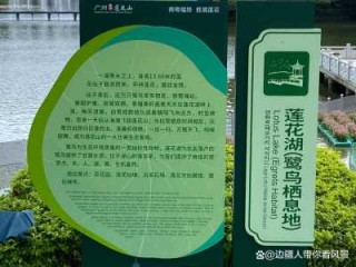 番禺莲花山一日游攻略，番禺莲花山门票费用？