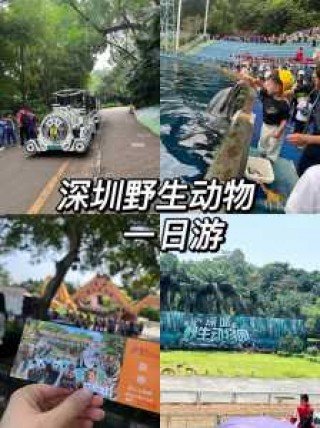 深圳市野生动物园门票多少？深圳野生动物园营业时间？