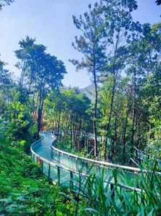 义乌旅游景点排名，义乌旅游景点排名开心谷