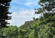 深圳仙湖植物园好玩不，深圳仙湖植物园哪个景点好看？