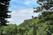 深圳仙湖植物园好玩不，深圳仙湖植物园哪个景点好看？