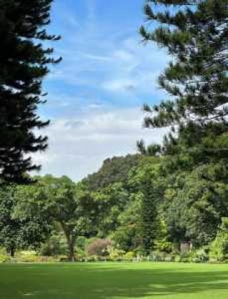 深圳仙湖植物园好玩不，深圳仙湖植物园哪个景点好看？