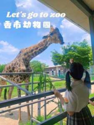 东莞香市动物园？东莞香市动物园有熊猫吗？