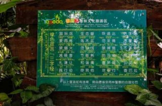 呀诺达雨林文化旅游区门票？呀诺达雨林文化旅游区雨林探险？
