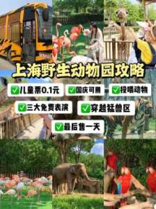 上海动物园门票当天可以买吗，上海动物园可以当天购票吗？