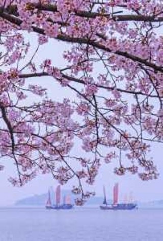 无锡旅游攻略一日游，无锡一日游最佳攻略自由行