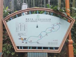 蜀南竹海自驾游怎么玩，蜀南竹海自驾游怎么玩比较好