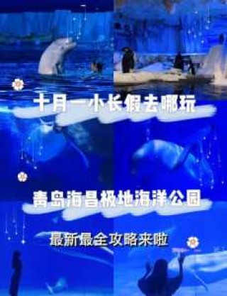 海昌极地海洋世界游玩攻略，海昌极地海洋世界景区