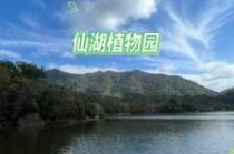 深圳仙湖植物园门票多少钱一张？深圳仙湖植物园怎么样好玩吗？