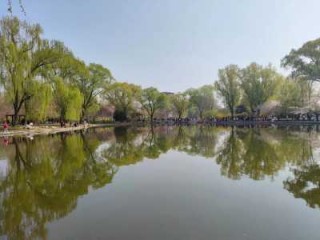 玉渊潭公园游玩攻略？玉渊潭公园游玩攻略大全？