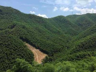浙江安吉旅游景点，浙江安吉旅游景点攻略