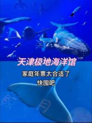 天津海昌极地海洋世界好玩吗？天津海昌极地海洋世界游玩时间？
