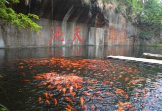 杭州去千岛湖一日游攻略，杭州去千岛湖一日游攻略路线图？
