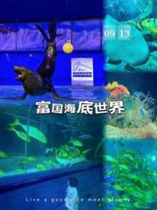 富国海底世界门票费用？富国海底世界门票费用多少？