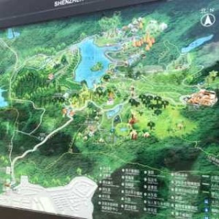 深圳仙湖植物园门票多少钱一张？深圳仙湖植物园怎么样好玩吗？