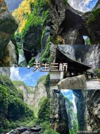 重庆旅行社旅游团报价，重庆旅行社旅游线路报价