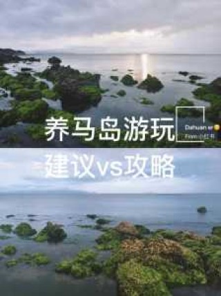 养马岛旅游攻略一日游，养马岛旅游景点介绍？