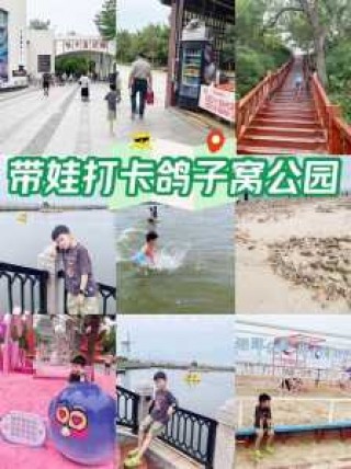 鸽子窝公园门票，鸽子窝公园门票免费政策