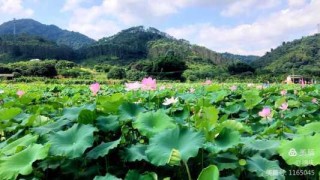 广东从化旅游景点，广东从化旅游景点溪头村？