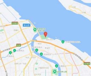 上海滨江森林公园地址的简单介绍