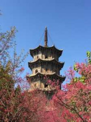 泉州网红打卡景点，泉州网红打卡景点适合小孩的？
