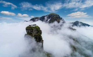 梵净山旅游景点介绍？梵净山旅游景点介绍作文？