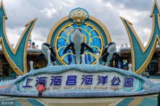 上海比较好玩的地方排名，上海二日游最佳安排？