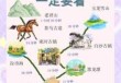 丽江三日游最佳攻略，丽江三日游最佳攻略昆明到丽江多少公里？