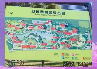 沧州旅游攻略必玩的景点？沧州旅游景点推荐？