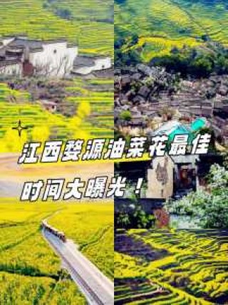 婺源油菜花最佳时间2021，婺源油菜花最佳时间2024年？