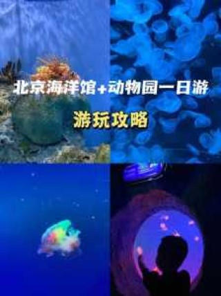 北京海洋馆攻略，北京海洋馆攻略最新？