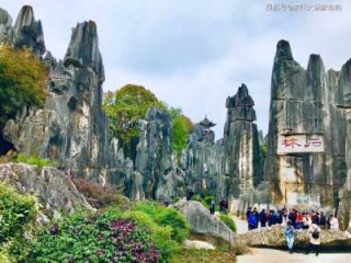 昆明旅游攻略自由行路线推荐？云南游6天5夜报价跟团？