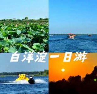 保定白洋淀一日游攻略，保定白洋淀游玩攻略？