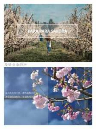 朝天吼漂流攻略，朝天吼漂流终点距离起点有多远
