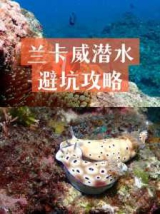 马来西亚旅游攻略景点，马来西亚景区旅游攻略