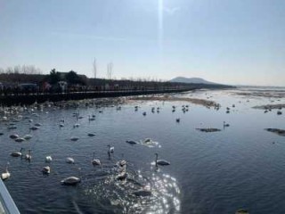 威海有什么好玩的地方景点推荐，威海有什么好玩的地方景点推荐免费去刘公岛花钱吗？