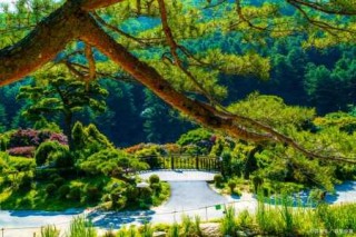 黑龙江伊春旅游攻略景点必去，黑龙江伊春旅游攻略景点必去五大连池